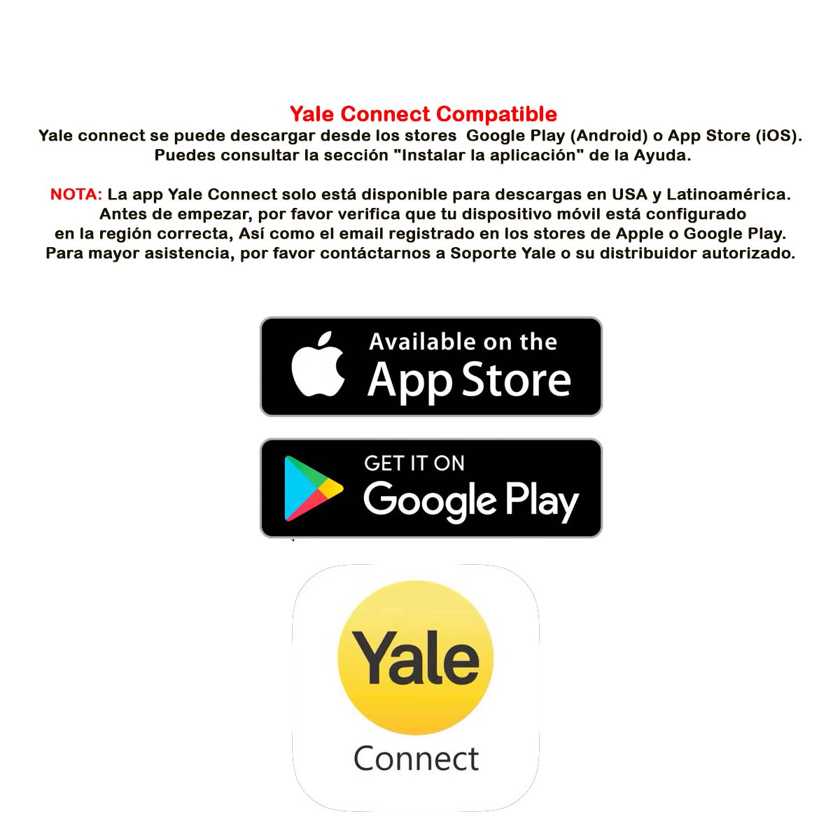 yale-connect-copia.jpg